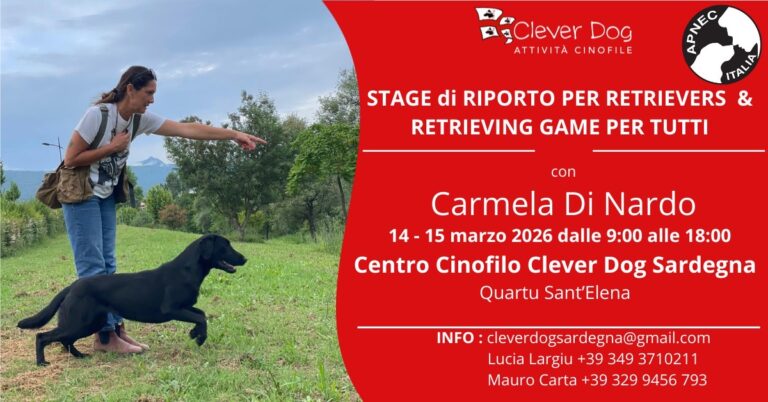 stage riporto