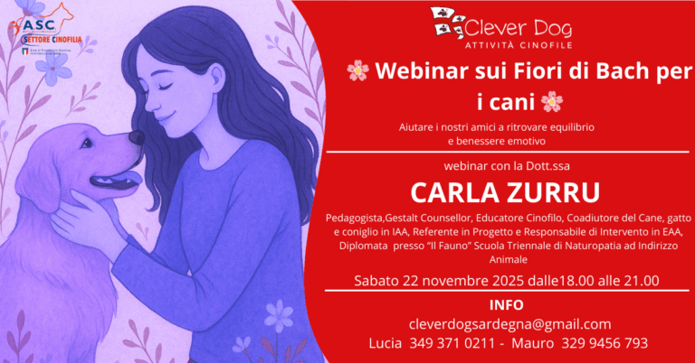 webinar fiori