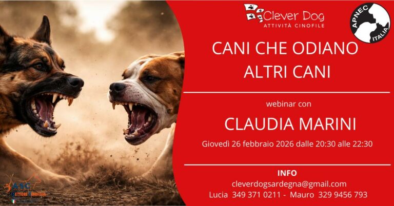 cani che odiano cani