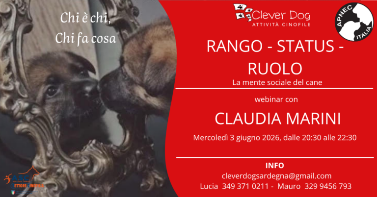 Locandina_Rango, status, ruolo